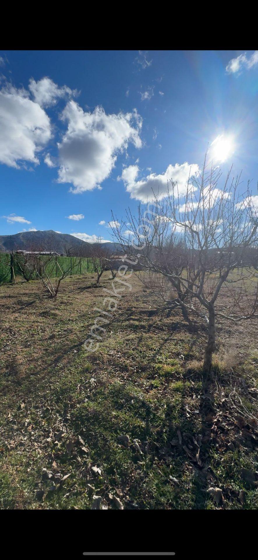 Isparta Büyükgökçeli'de 851m2 Satılık Bağ — fotoğraf 6