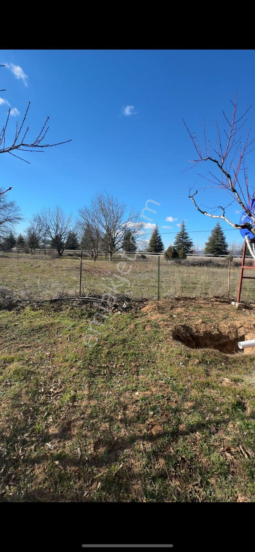 Isparta Büyükgökçeli'de 851m2 Satılık Bağ — fotoğraf 7