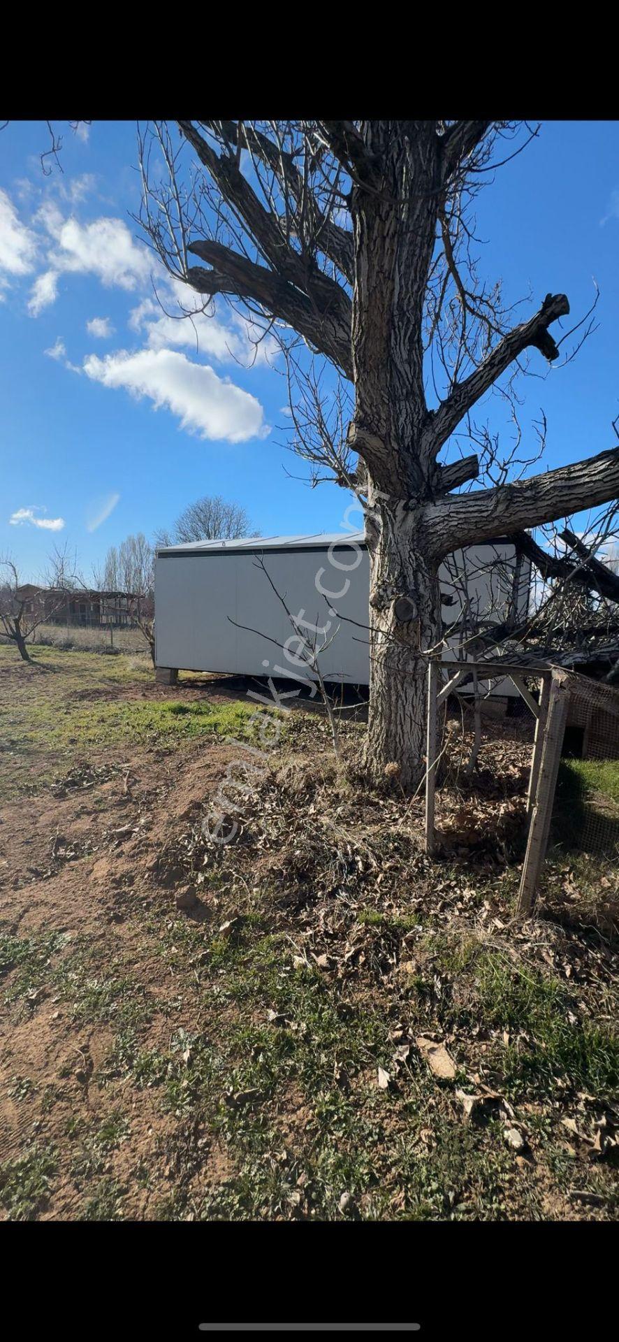 Isparta Büyükgökçeli'de 851m2 Satılık Bağ — fotoğraf 9
