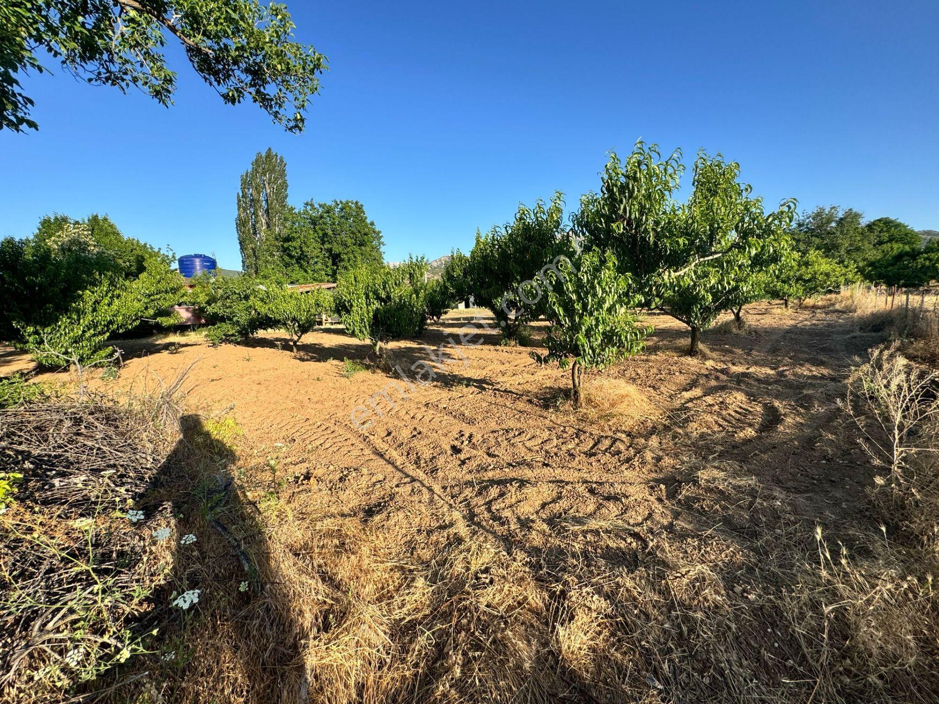 Isparta Büyükgökçeli'de 851m2 Satılık Bağ — fotoğraf 10