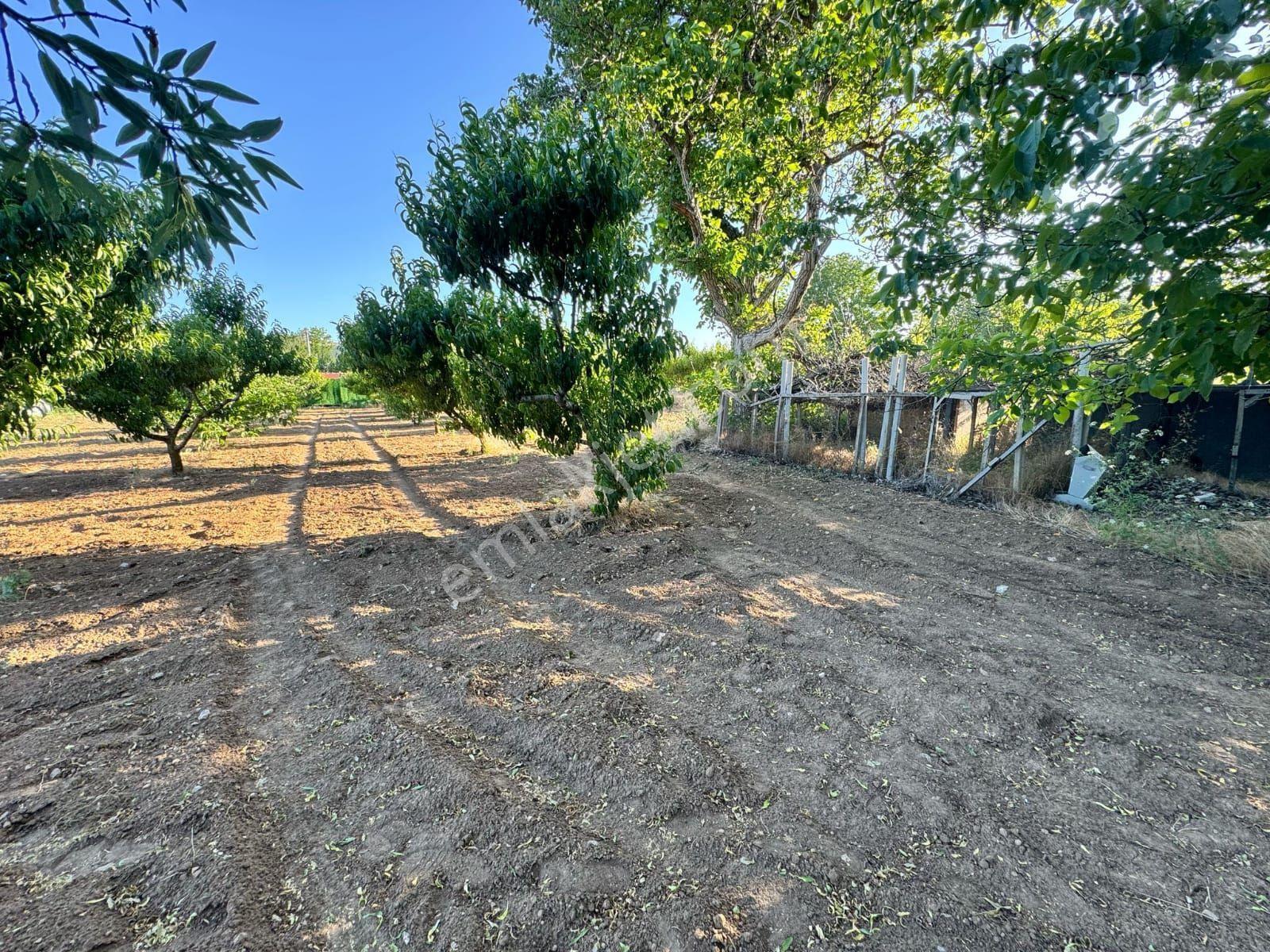 Isparta Büyükgökçeli'de 851m2 Satılık Bağ — fotoğraf 11