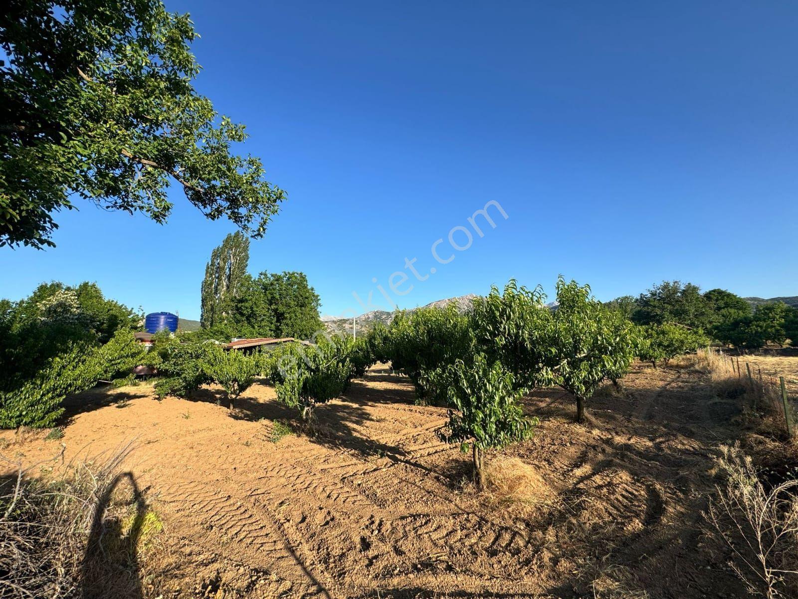 Isparta Büyükgökçeli'de 851m2 Satılık Bağ — fotoğraf 13
