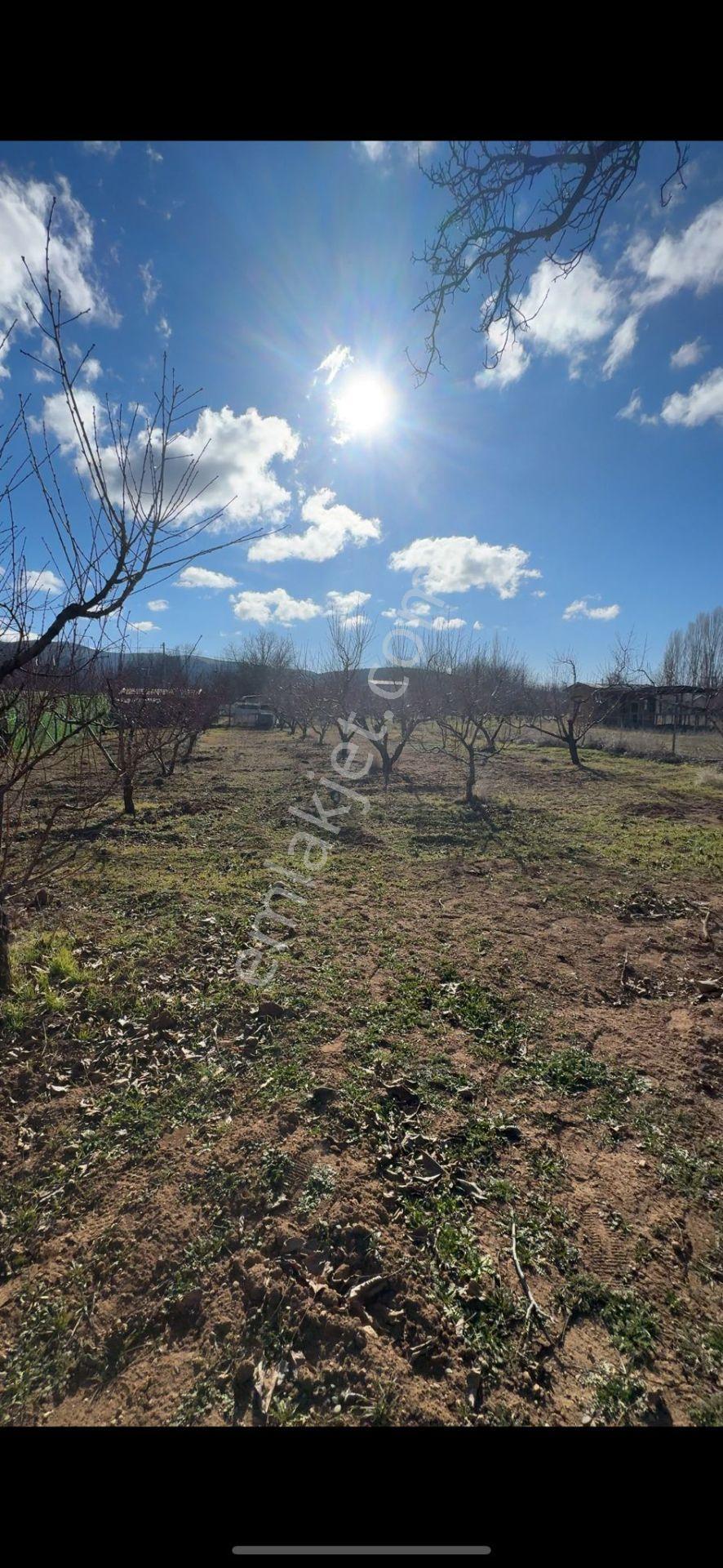 Isparta Büyükgökçeli'de 851m2 Satılık Bağ — fotoğraf 14