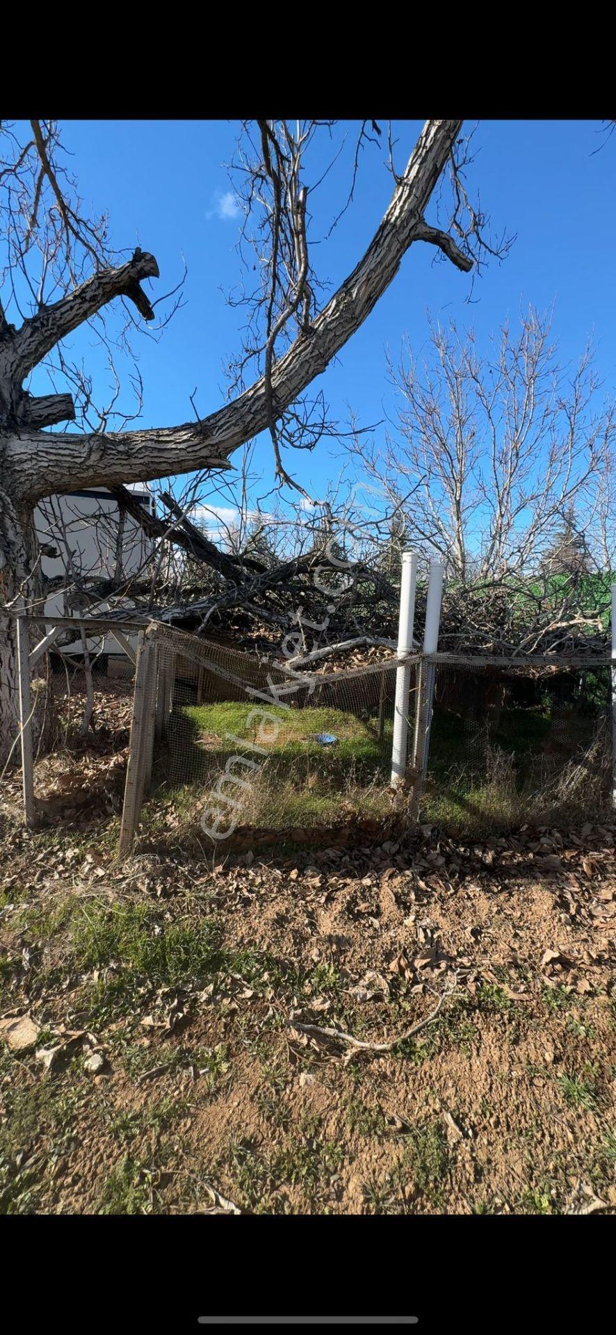 Isparta Büyükgökçeli'de 851m2 Satılık Bağ — fotoğraf 15