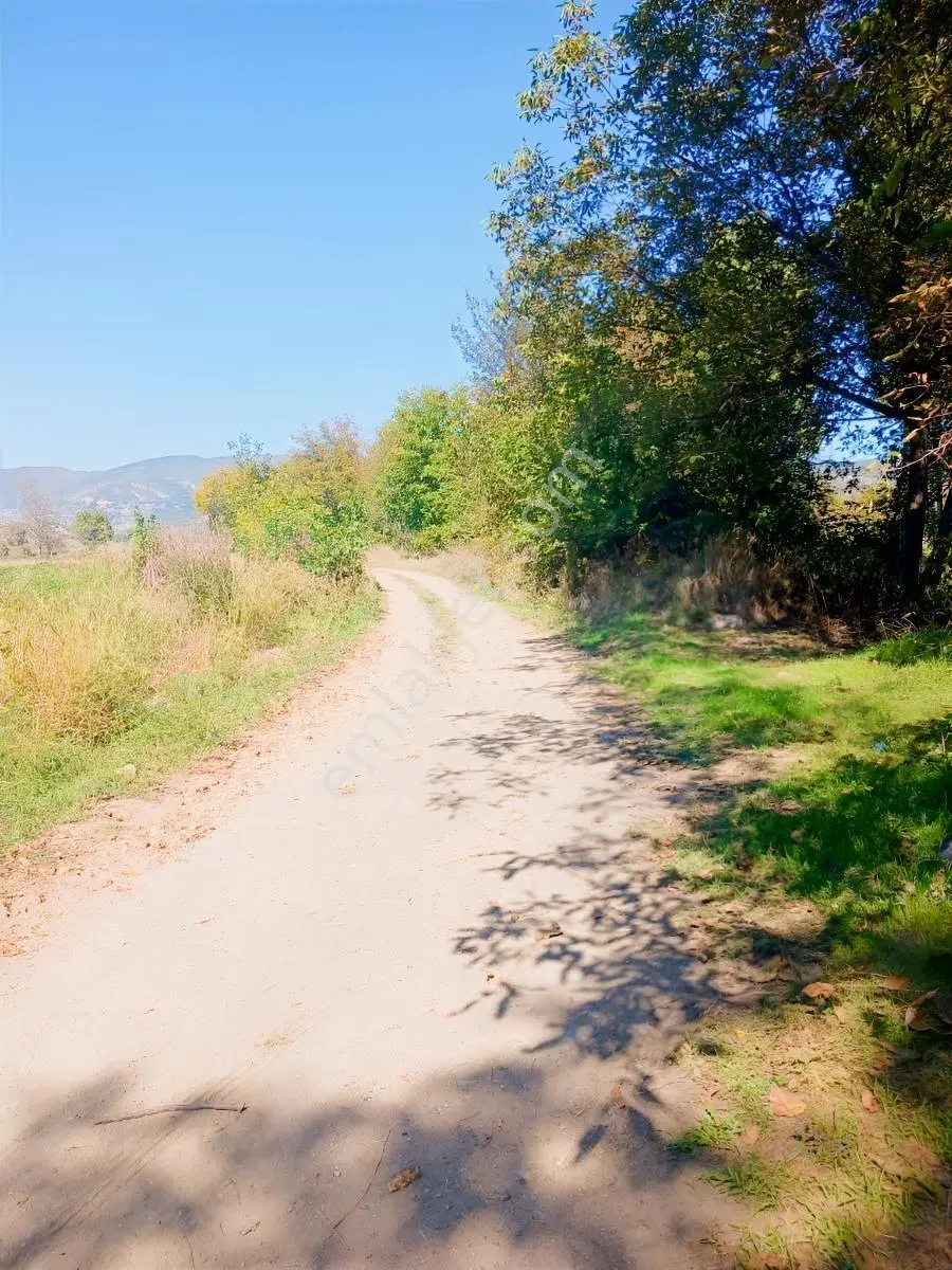 Akbelen Köyünde Yatırımlık Satılık Bahçe