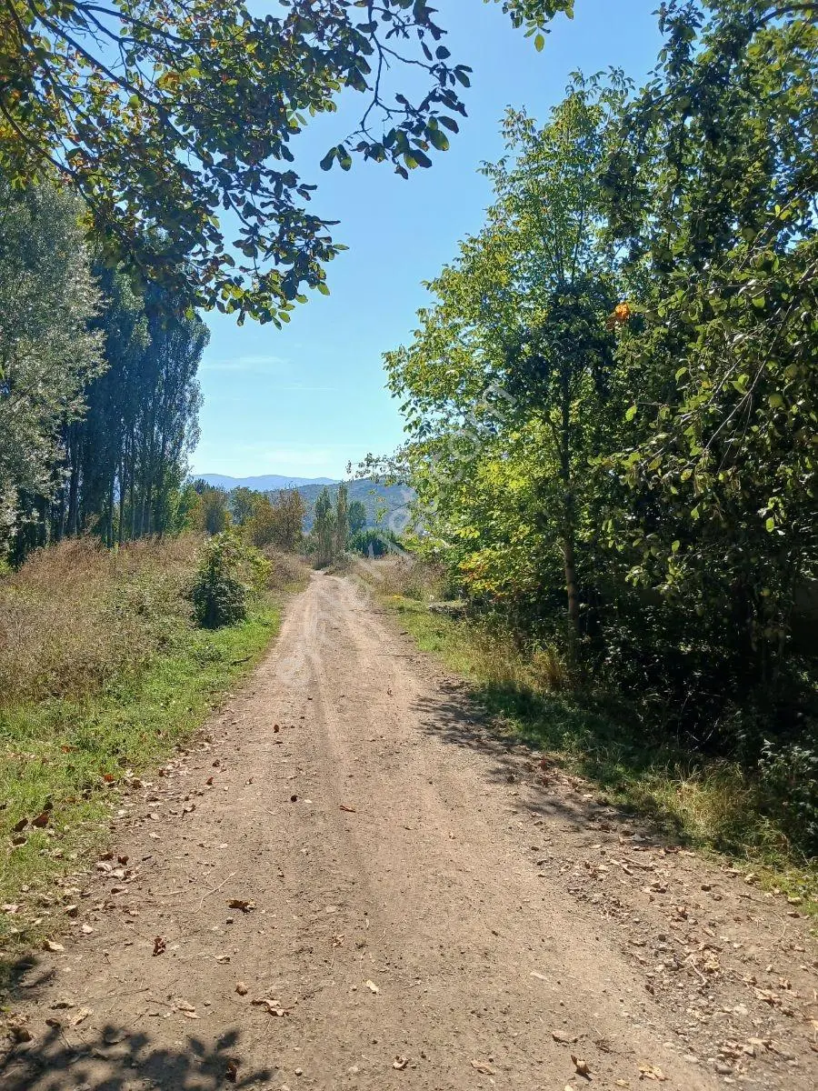 Akbelen Köyünde Yatırımlık Satılık Bahçe — fotoğraf 2