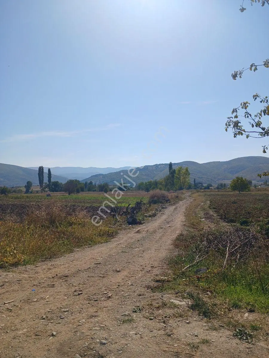 Akbelen Köyünde Yatırımlık Satılık Bahçe — fotoğraf 3