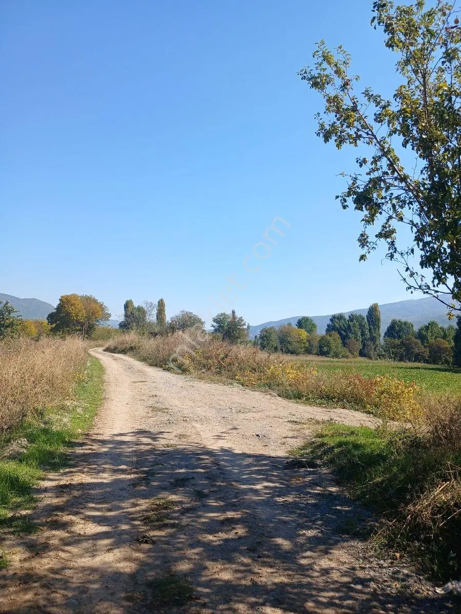 Akbelen Köyünde Yatırımlık Satılık Bahçe — fotoğraf 4