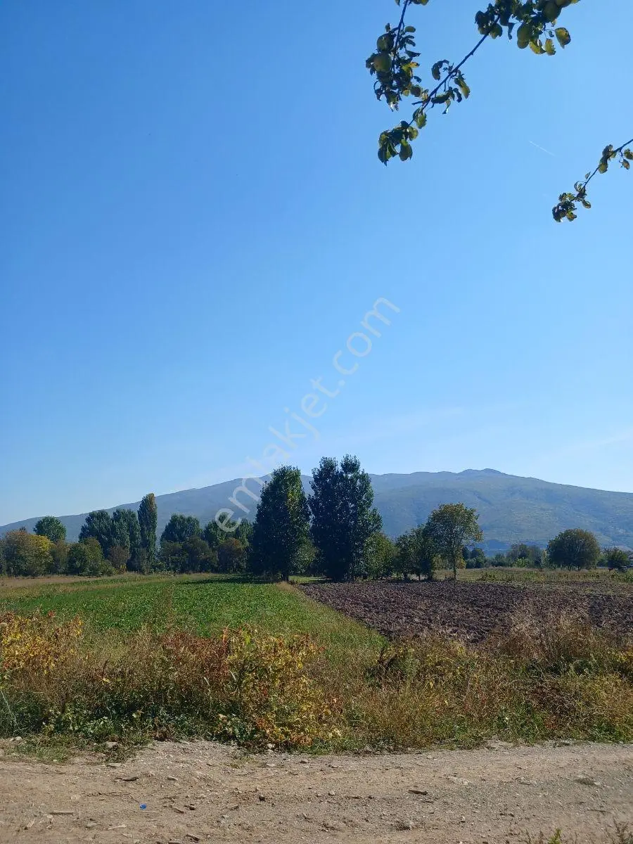 Akbelen Köyünde Yatırımlık Satılık Bahçe — fotoğraf 5