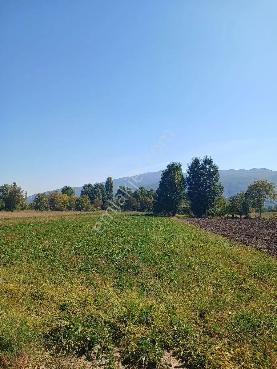 Akbelen Köyünde Yatırımlık Satılık Bahçe — fotoğraf 6