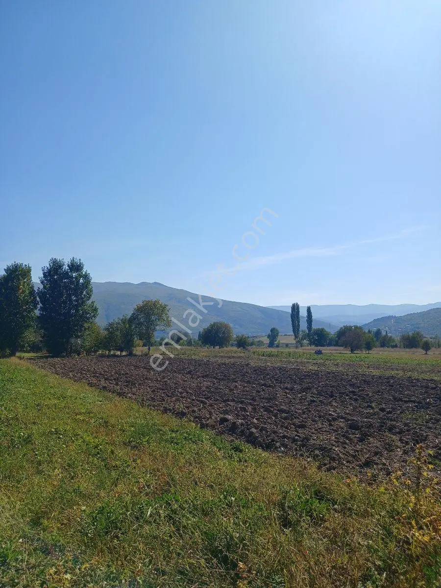 Akbelen Köyünde Yatırımlık Satılık Bahçe — fotoğraf 7