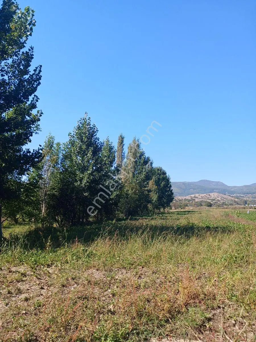 Akbelen Köyünde Yatırımlık Satılık Bahçe — fotoğraf 9