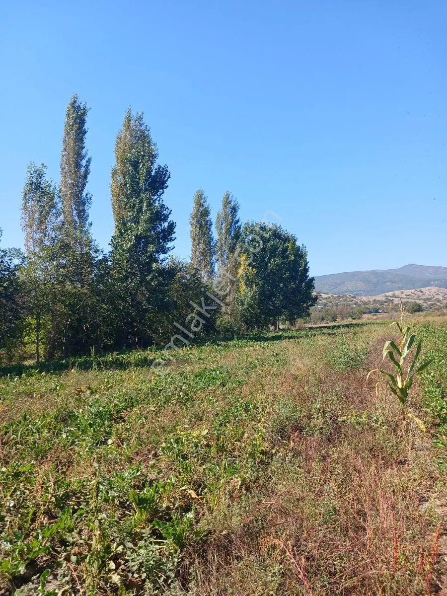 Akbelen Köyünde Yatırımlık Satılık Bahçe — fotoğraf 12