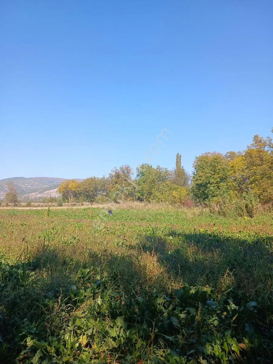 Akbelen Köyünde Yatırımlık Satılık Bahçe — fotoğraf 13