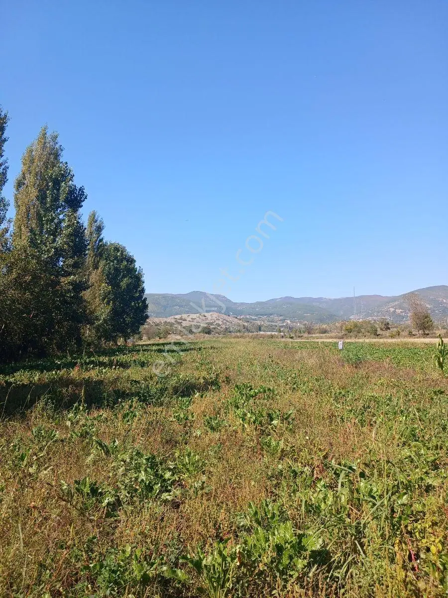 Akbelen Köyünde Yatırımlık Satılık Bahçe — fotoğraf 14