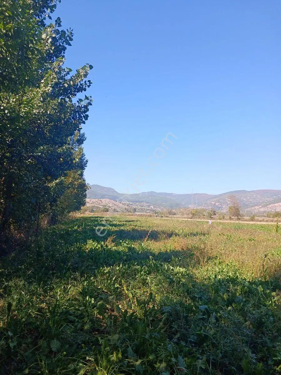 Akbelen Köyünde Yatırımlık Satılık Bahçe — fotoğraf 15