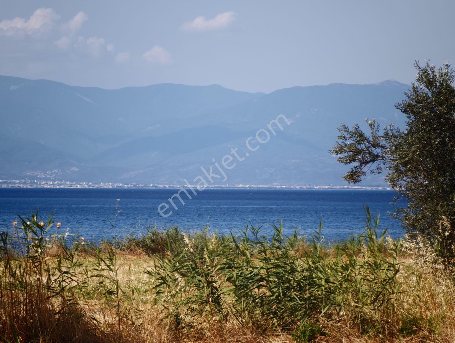 Şimşekten İskelede Denize 150 Metre Arsa — fotoğraf 4