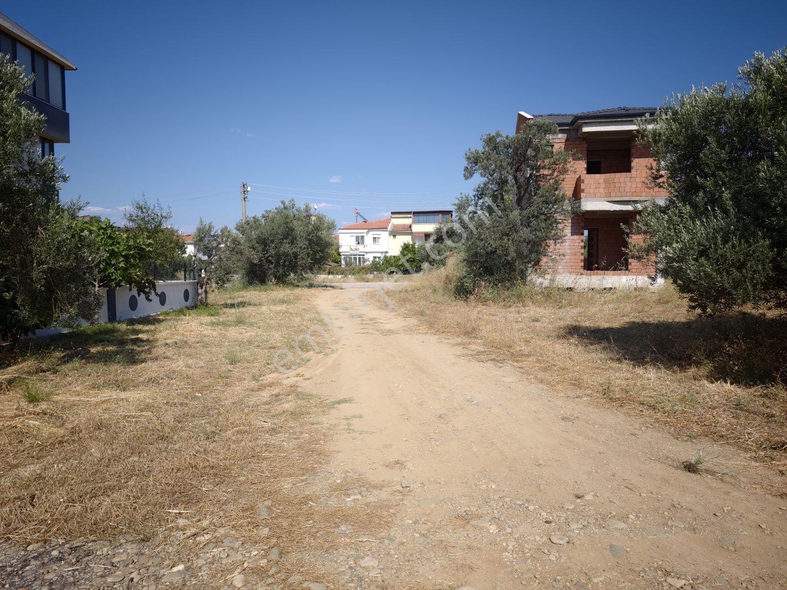 Şimşekten İskelede Denize 150 Metre Arsa — fotoğraf 6