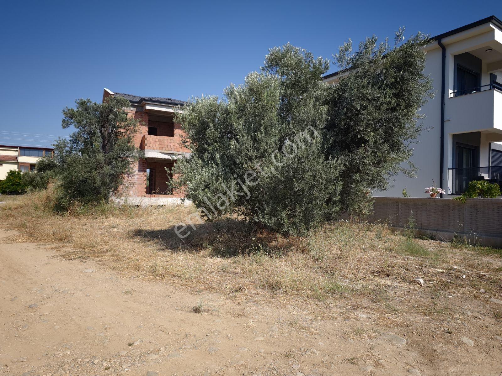Şimşekten İskelede Denize 150 Metre Arsa — fotoğraf 7