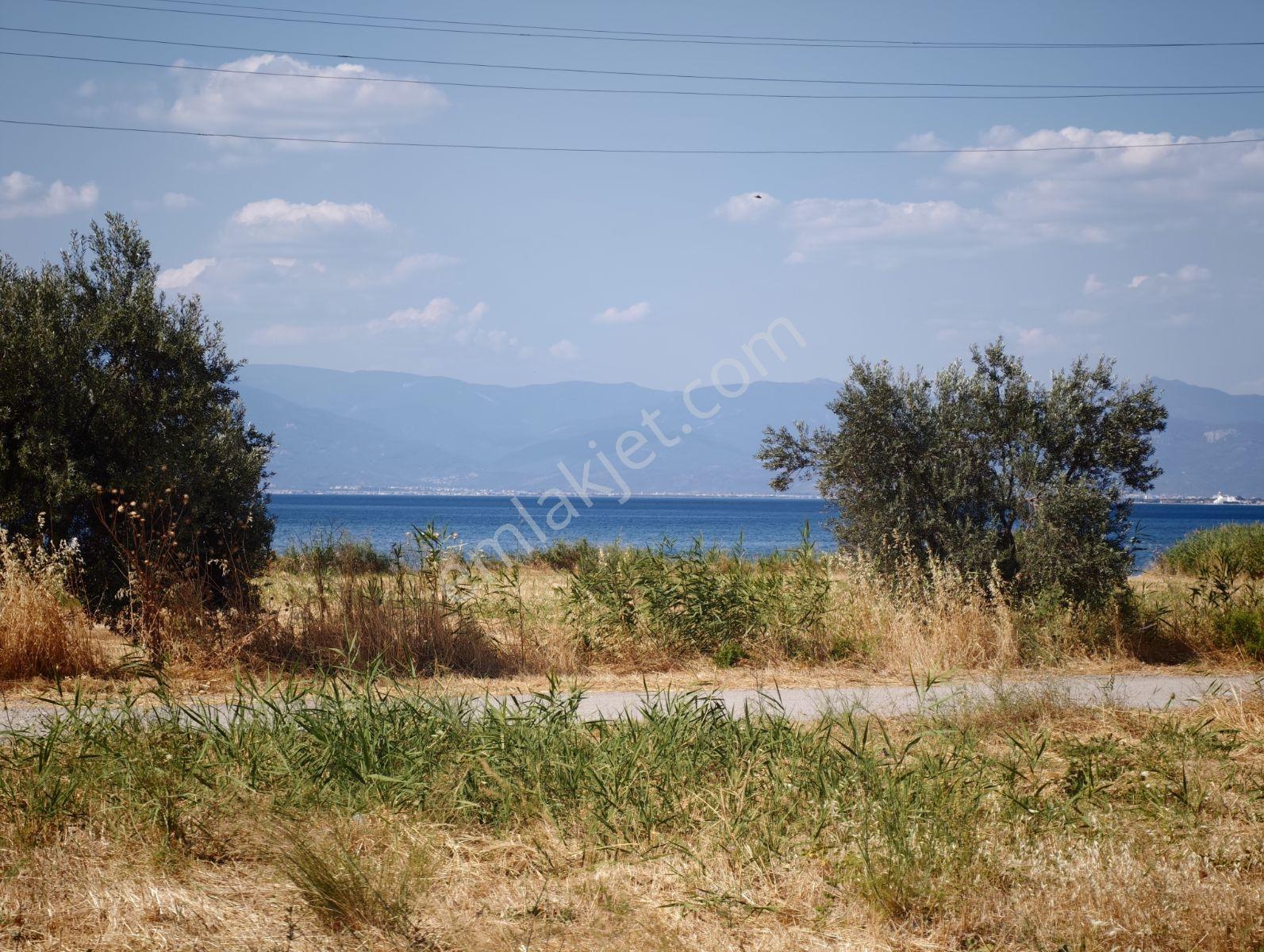 Şimşekten İskelede Denize 150 Metre Arsa — fotoğraf 8