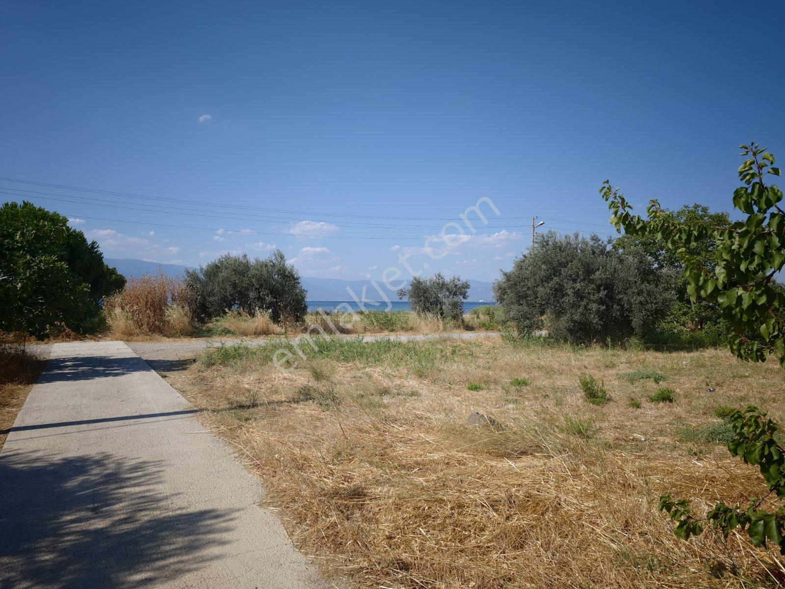 Şimşekten İskelede Denize 150 Metre Arsa — fotoğraf 9