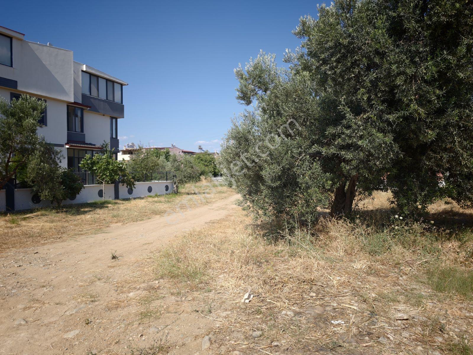 Şimşekten İskelede Denize 150 Metre Arsa — fotoğraf 10