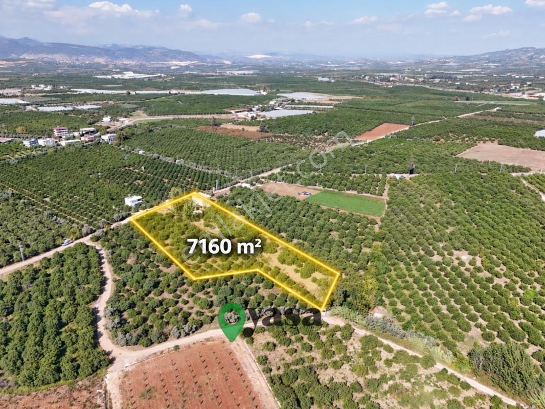 Yaşa Gyd - Bekirdede 7.160 M², Su Ve Elektrik Bulunan Arsa