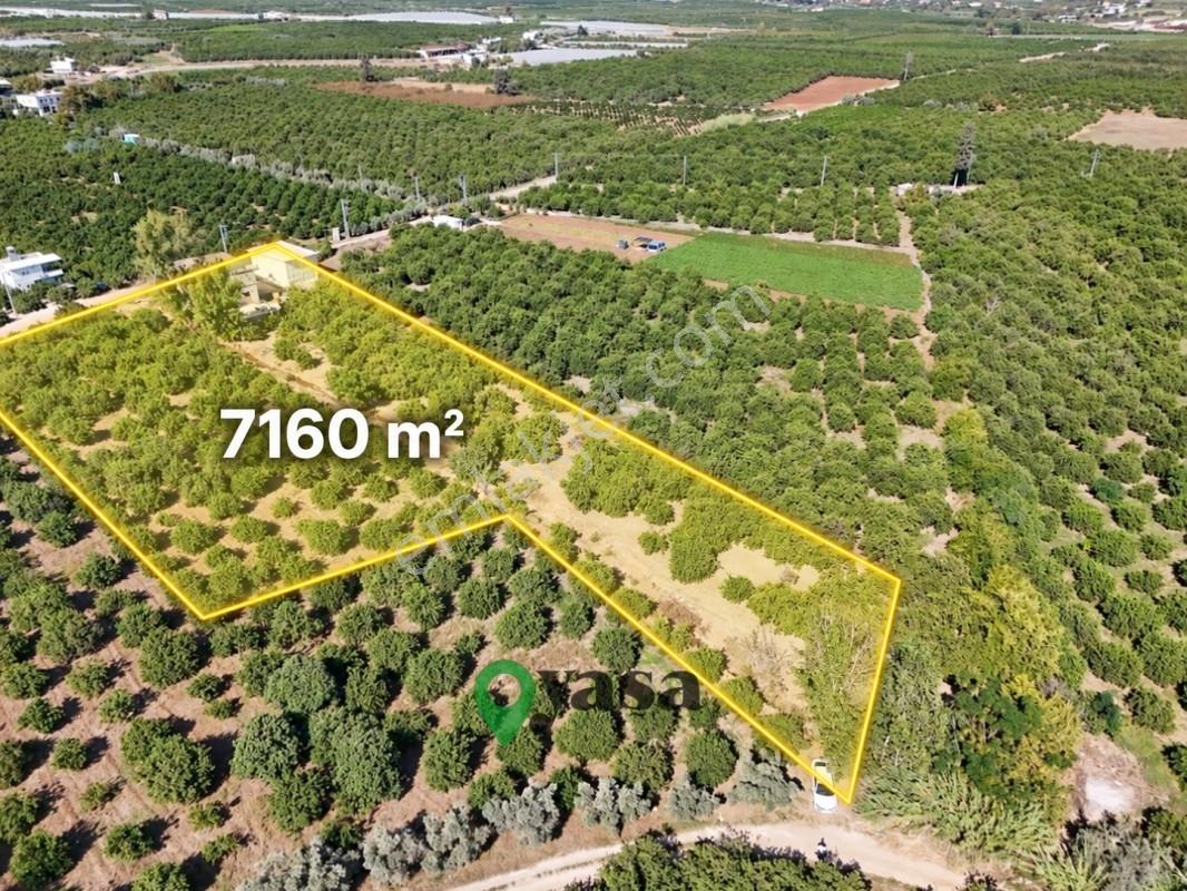 Yaşa Gyd - Bekirdede 7.160 M², Su Ve Elektrik Bulunan Arsa — fotoğraf 2