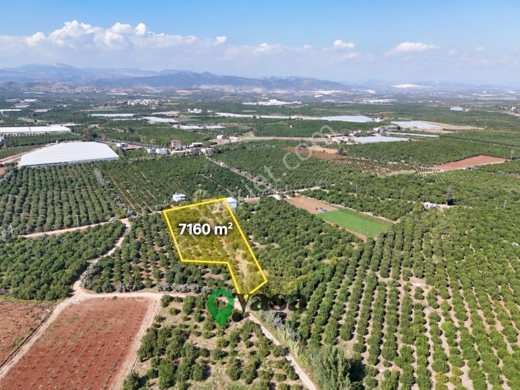 Yaşa Gyd - Bekirdede 7.160 M², Su Ve Elektrik Bulunan Arsa — fotoğraf 5