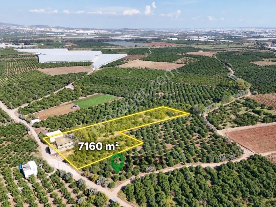 Yaşa Gyd - Bekirdede 7.160 M², Su Ve Elektrik Bulunan Arsa — fotoğraf 6