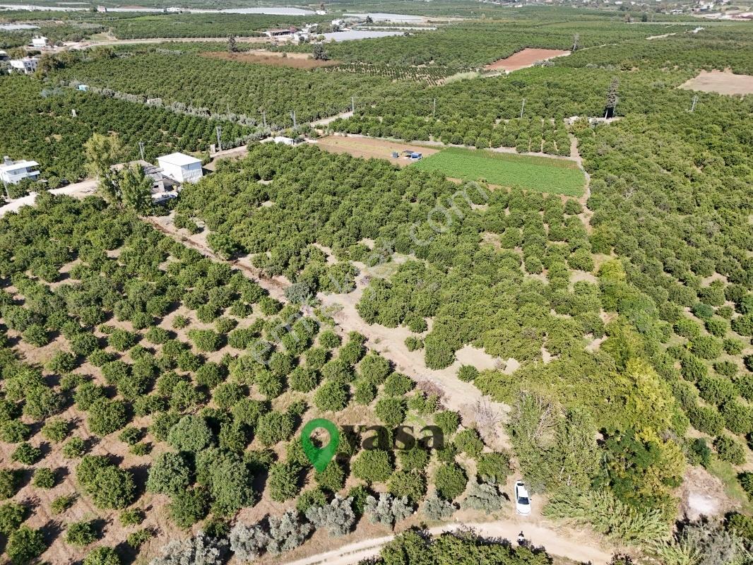 Yaşa Gyd - Bekirdede 7.160 M², Su Ve Elektrik Bulunan Arsa — fotoğraf 8