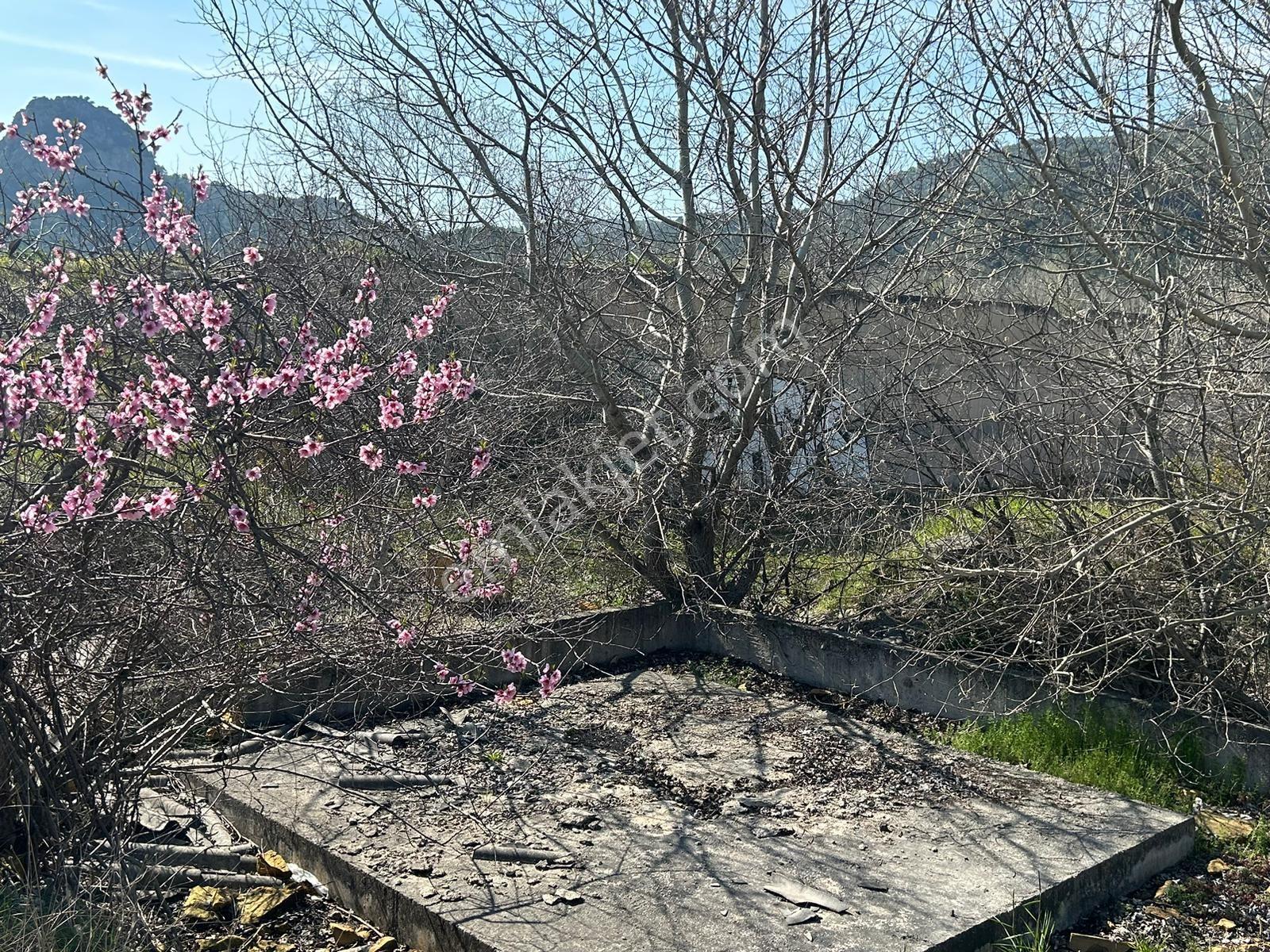 Osmanelide Anayola Cefheli Harika Konumda Satılık Tarla — fotoğraf 16