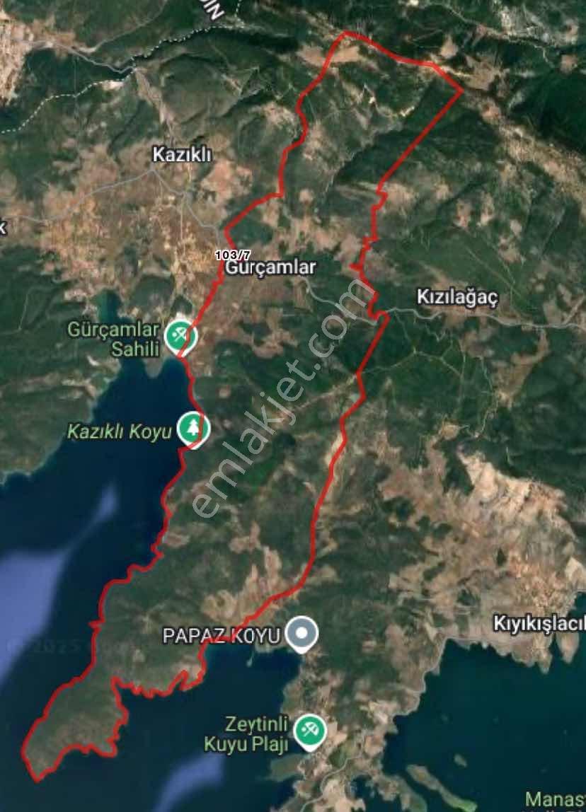 Gürçamlarda Satılık Zeytinlik