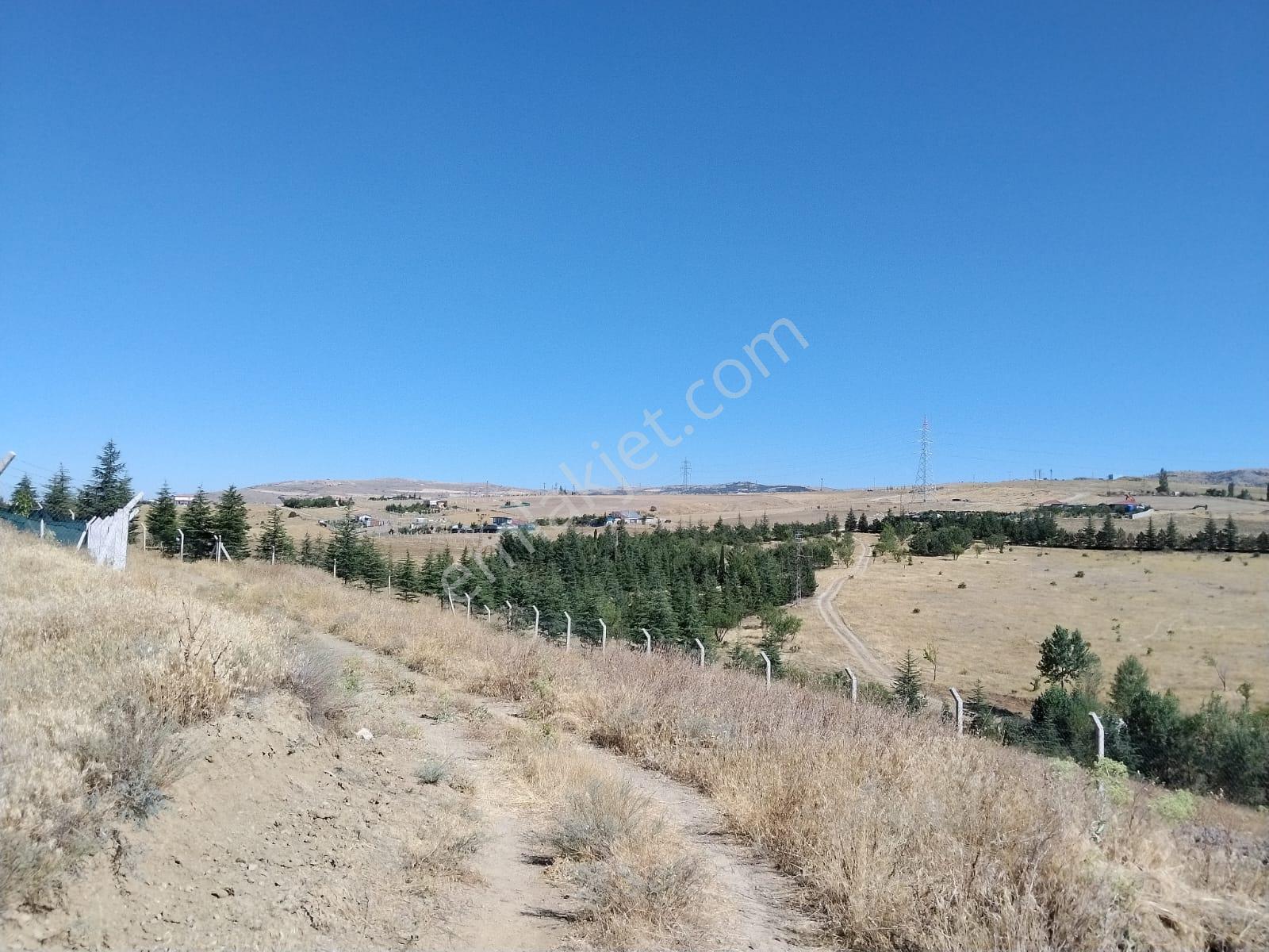 Winnest'ten Lalahan Karşıyakada Satılık 540 M2 İmarlı Arsa — fotoğraf 8