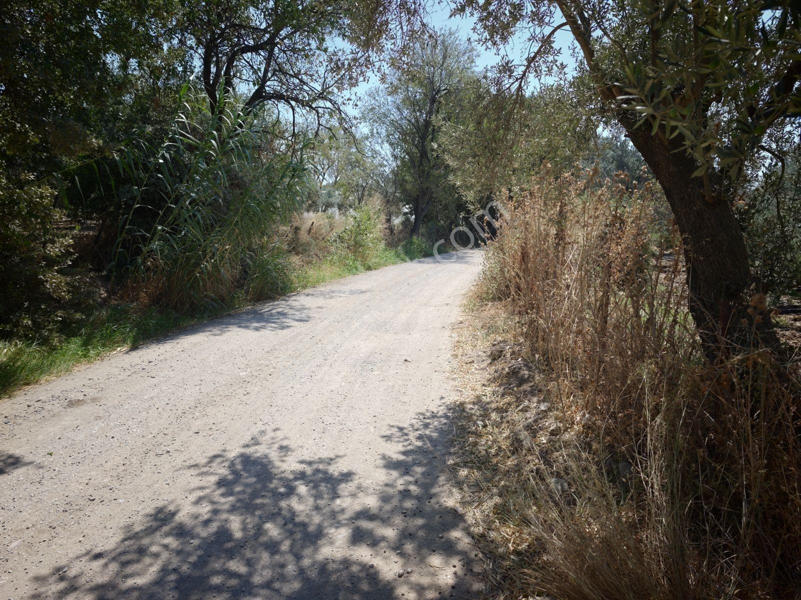Şimşekten Kızıklı'da Güzel Konumda 7.5 Dönüm Tarla — fotoğraf 4