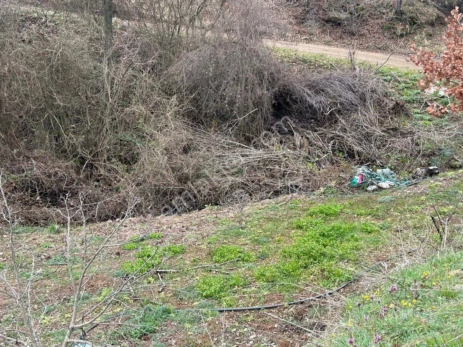 Pamukova Kazımiyede Resmi Yola Cepheli Hobi Bahçesi — fotoğraf 2