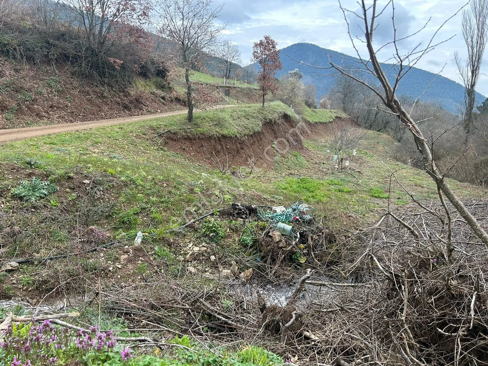 Pamukova Kazımiyede Resmi Yola Cepheli Hobi Bahçesi — fotoğraf 5