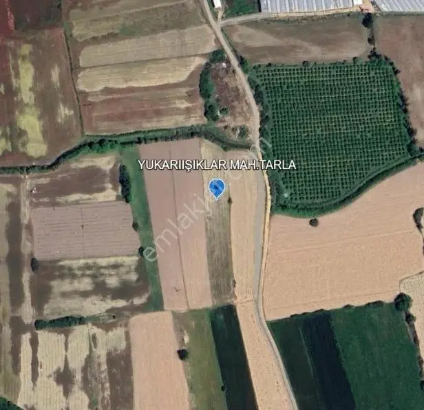 Manavgat Yukarıışıklar Bölgesinde 4200 M2 Satılık Tarla — fotoğraf 2