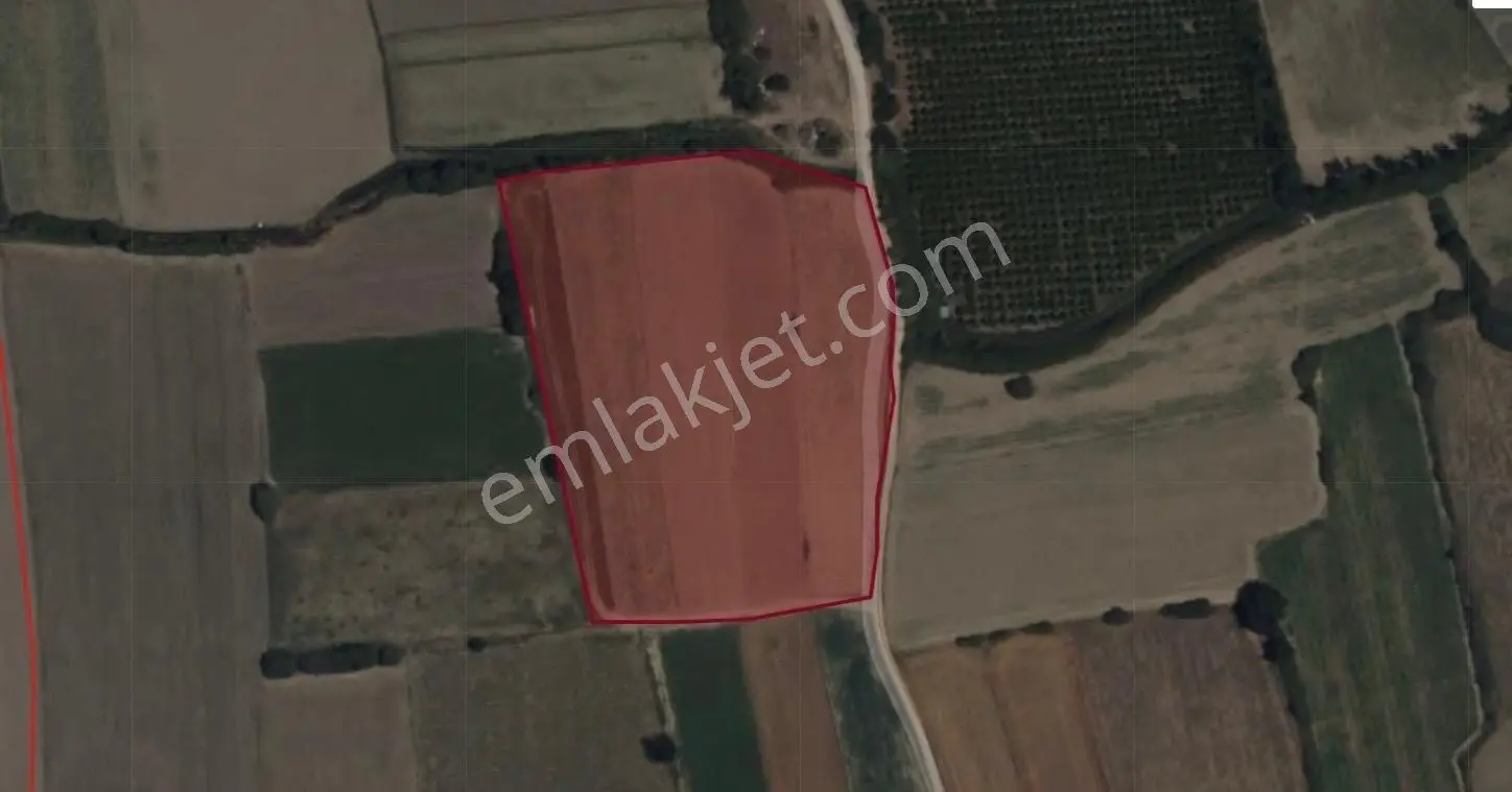 Manavgat Yukarıışıklar Bölgesinde 4200 M2 Satılık Tarla — fotoğraf 3