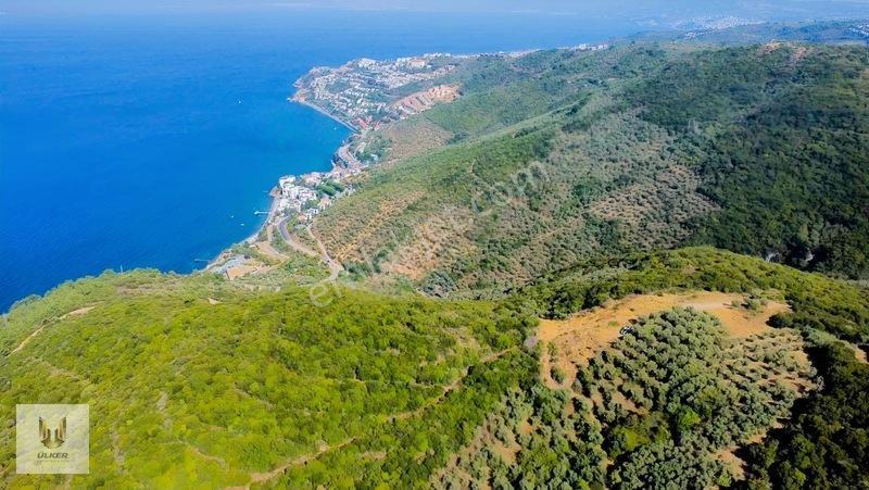 Ülker Den Kumyaka Da Ful Deniz Manzaralı Tek Tapu Zeytinlik — fotoğraf 9