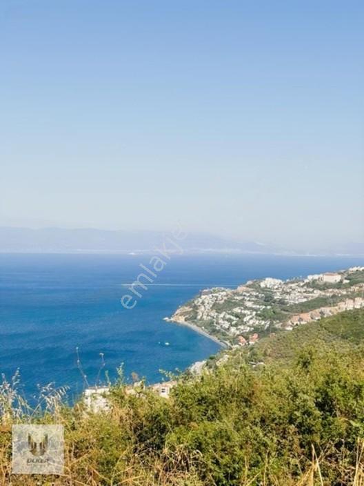 Ülker Den Kumyaka Da Ful Deniz Manzaralı Tek Tapu Zeytinlik — fotoğraf 26