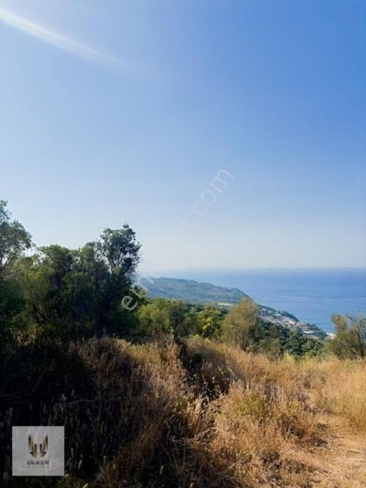 Ülker Den Kumyaka Da Ful Deniz Manzaralı Tek Tapu Zeytinlik — fotoğraf 27