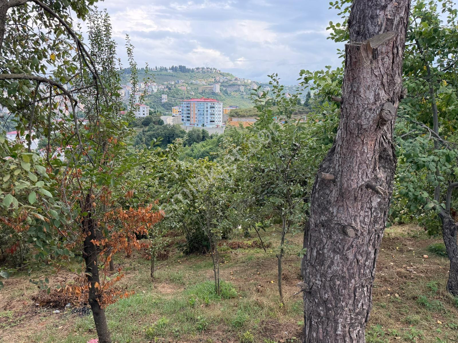 Karşıyaka Da Satılık Arsa Deniz Ve Doğa Manzaralı — fotoğraf 8