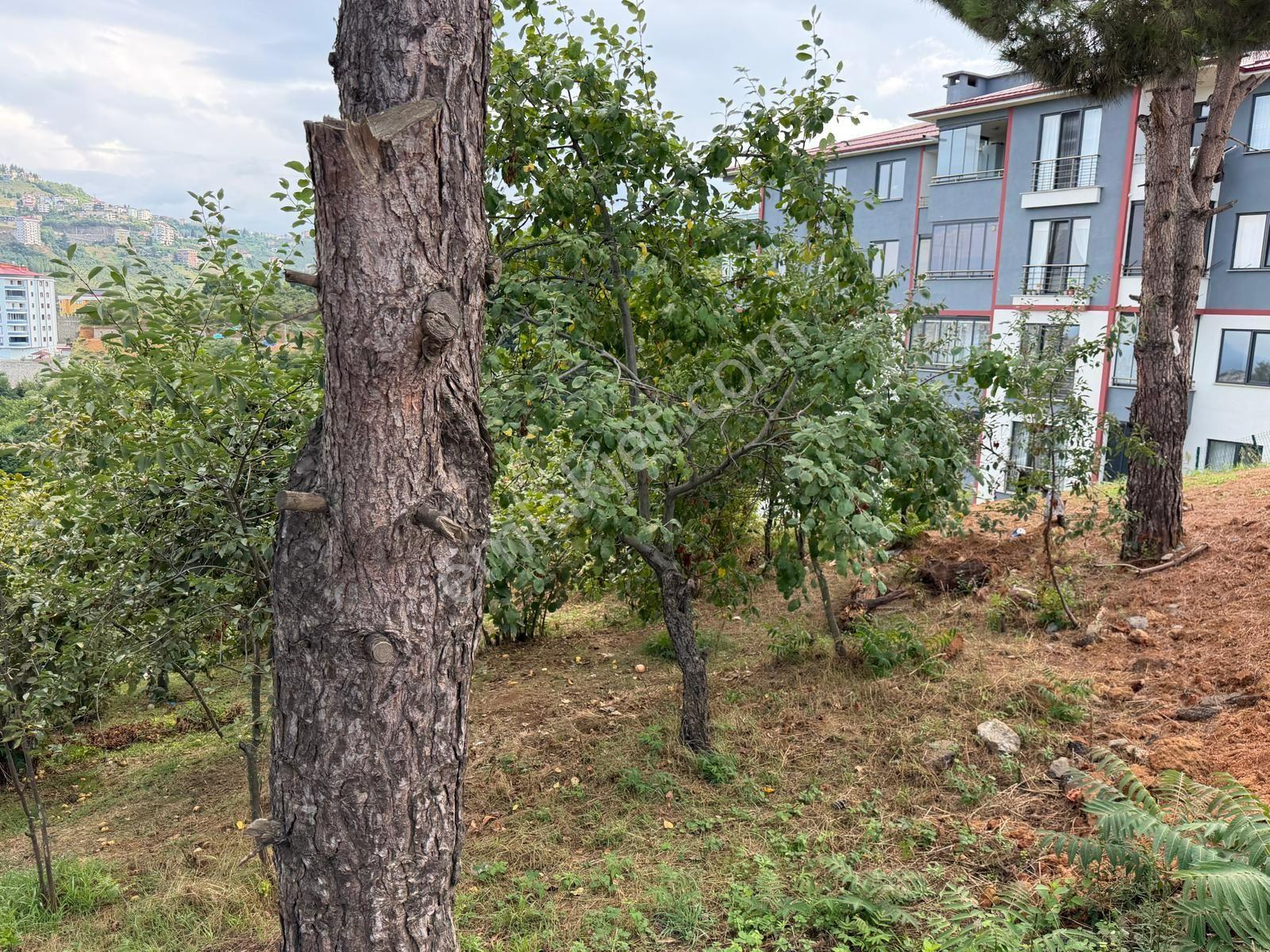 Karşıyaka Da Satılık Arsa Deniz Ve Doğa Manzaralı — fotoğraf 10
