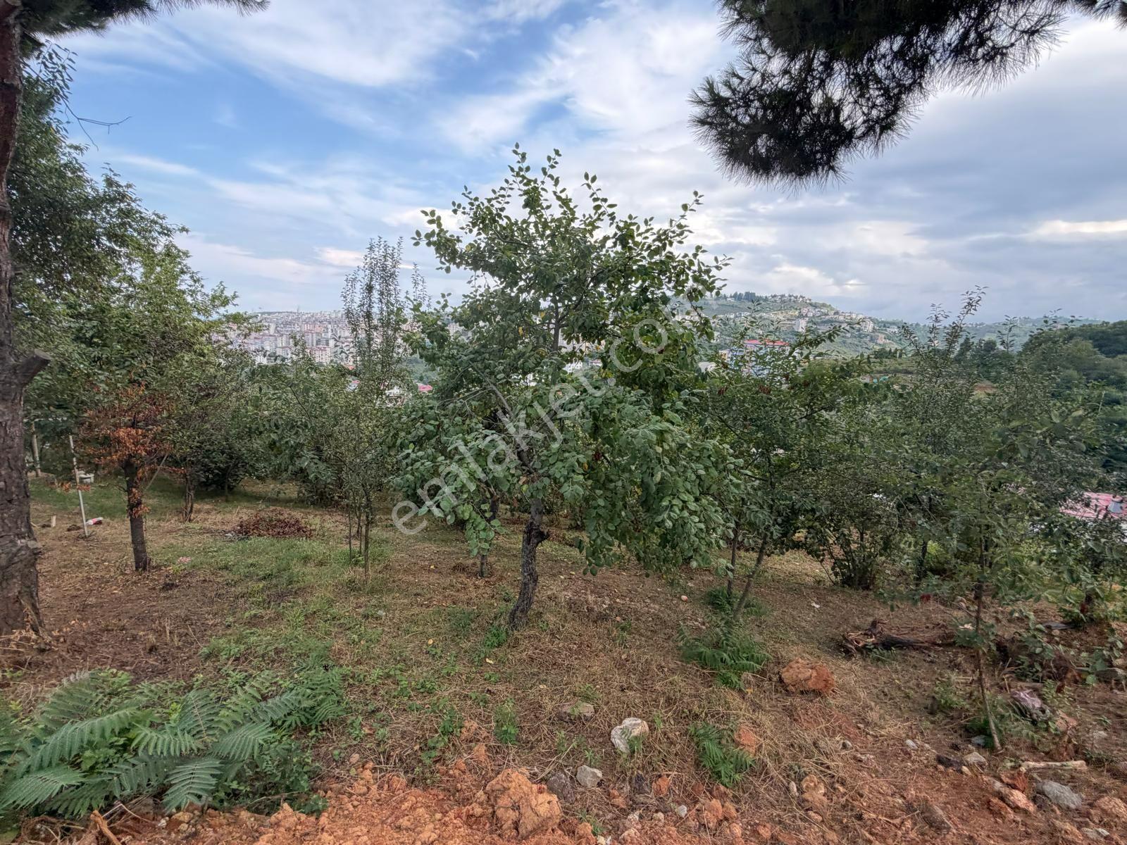 Karşıyaka Da Satılık Arsa Deniz Ve Doğa Manzaralı — fotoğraf 11