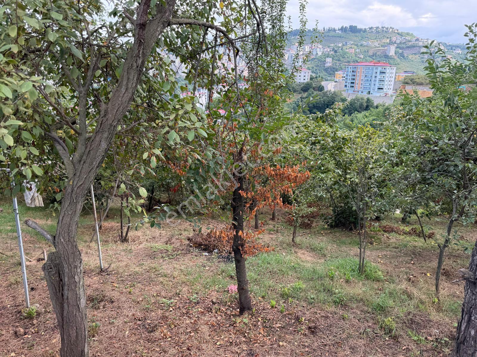 Karşıyaka Da Satılık Arsa Deniz Ve Doğa Manzaralı — fotoğraf 13