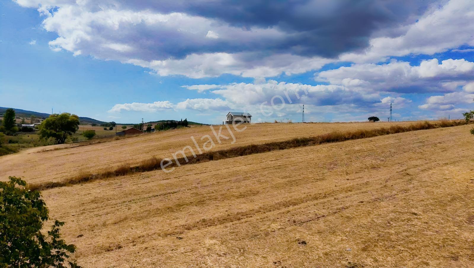 Şarköy Gölcükte Villa Projesine Uygun İmarlı Kupon Arsa — fotoğraf 3