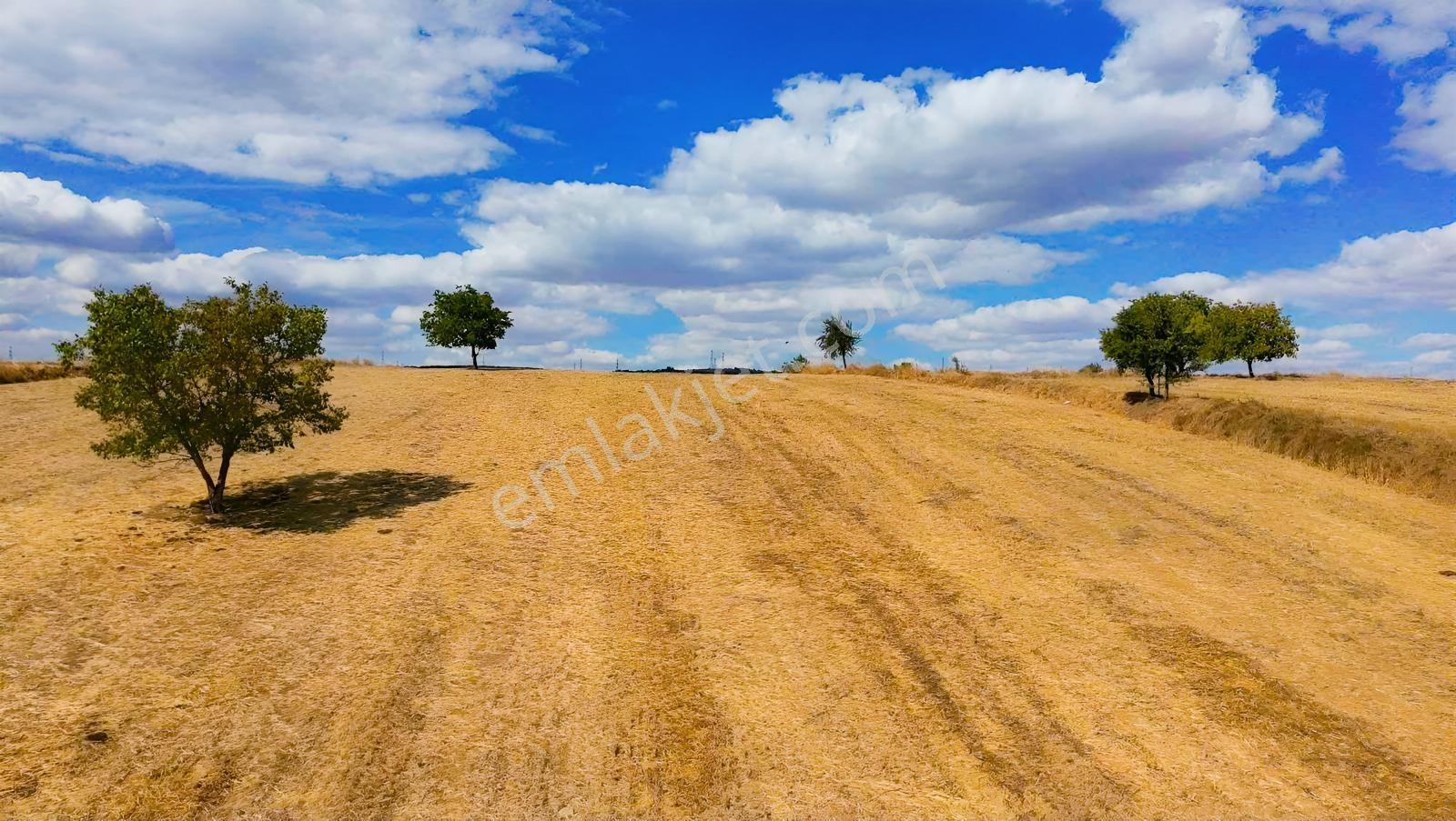 Şarköy Gölcükte Villa Projesine Uygun İmarlı Kupon Arsa — fotoğraf 6