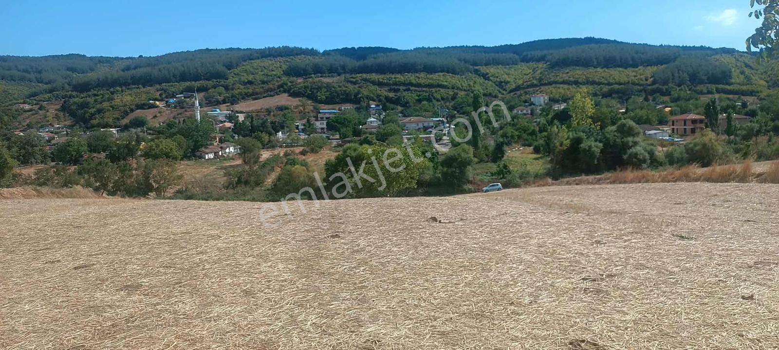 Şarköy Gölcükte Villa Projesine Uygun İmarlı Kupon Arsa — fotoğraf 11