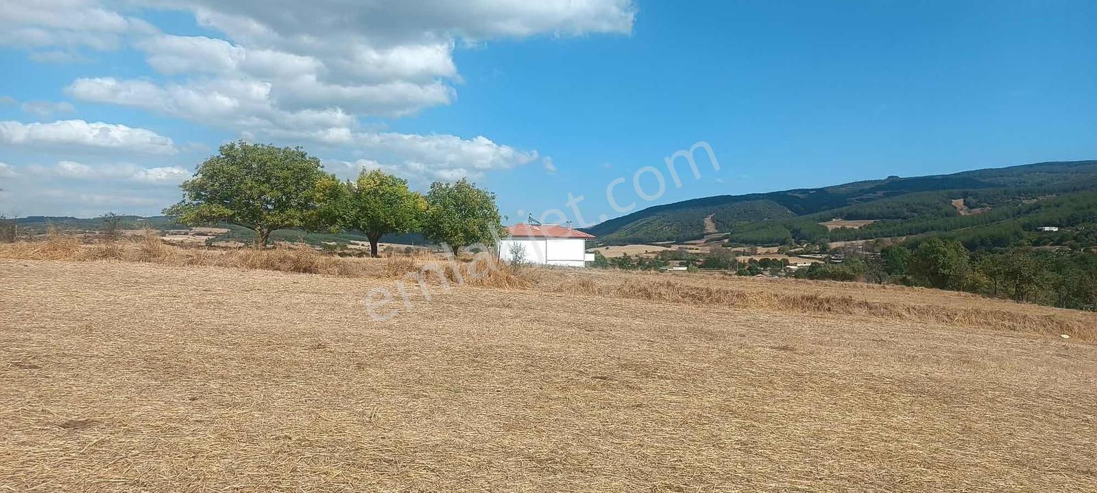 Şarköy Gölcükte Villa Projesine Uygun İmarlı Kupon Arsa — fotoğraf 12